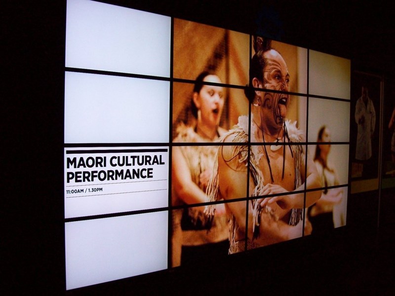 Auckland Museum Displays