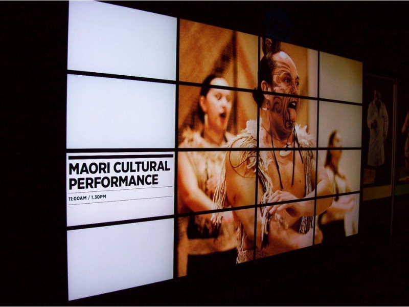 Auckland Museum Displays