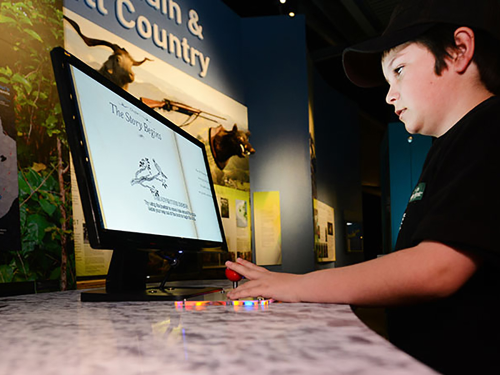 Interactive TV screens