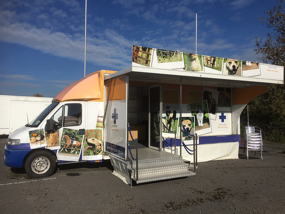 Experiential marketing activations in NZ