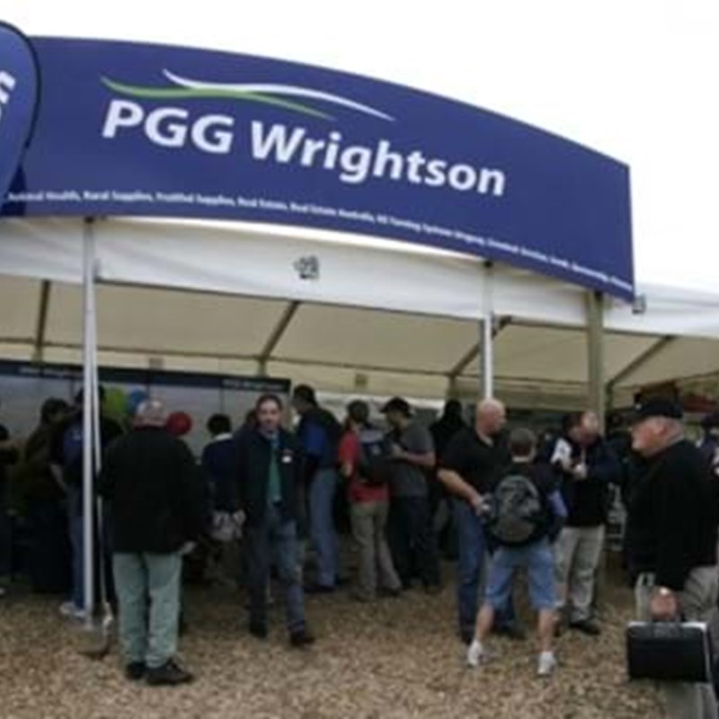 Teardrop flags with marquee