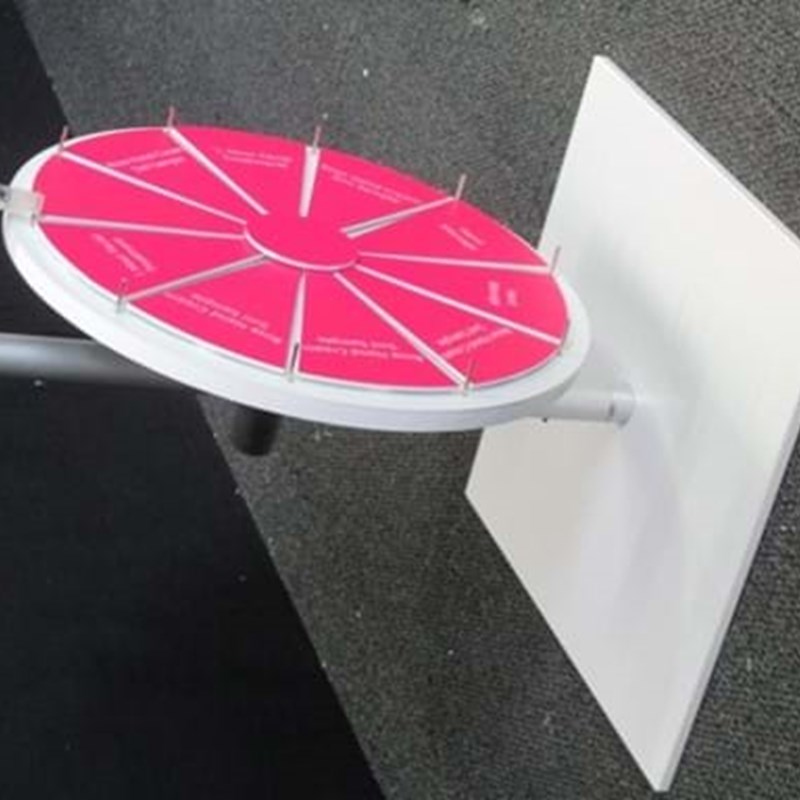 Prize spinning wheel