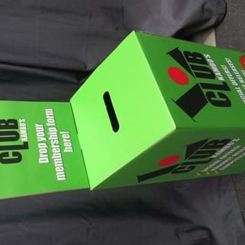 Cardboard ballot boxes